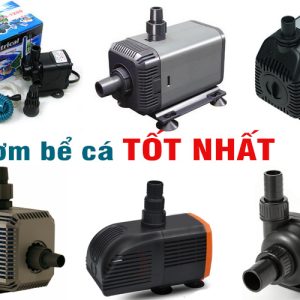 MÁy BƠm HỒ CÁ Koi