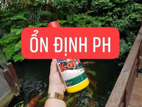 Thiet Bi Loc Binh Duong (25)